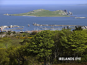 Ireland's Eye, Howth, Dublin, Ireland